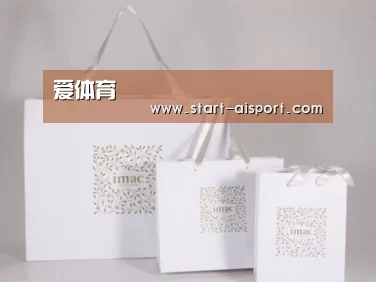 项目名称十一