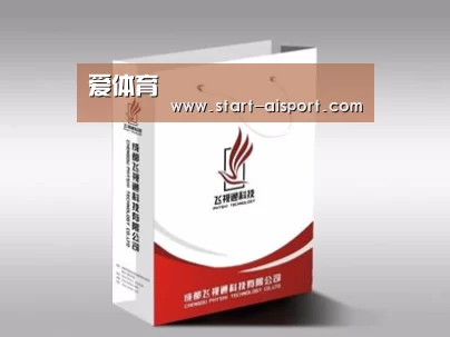 项目名称十三